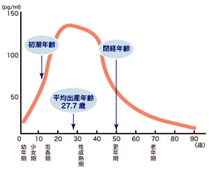 閉経(へいけい)